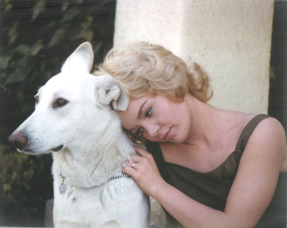 tuesday_weld_ma55