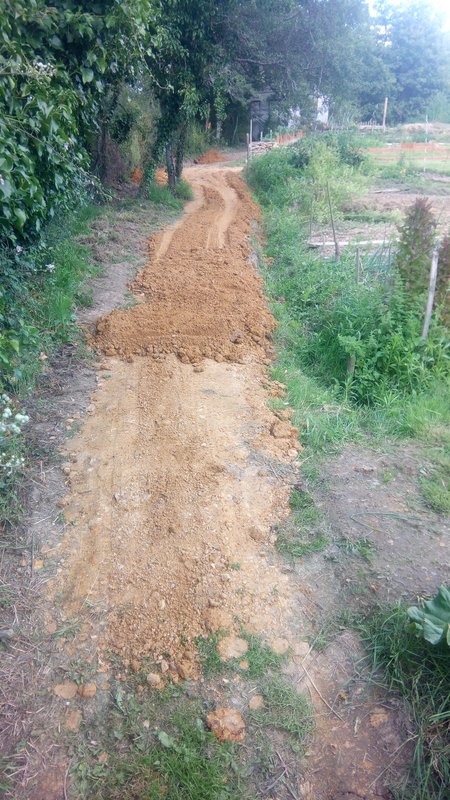 new-path.jpg