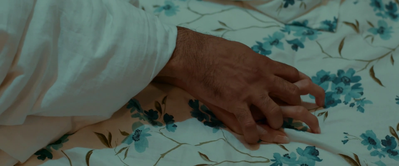 vlcsnap-2025-04-30-16h27m13s416