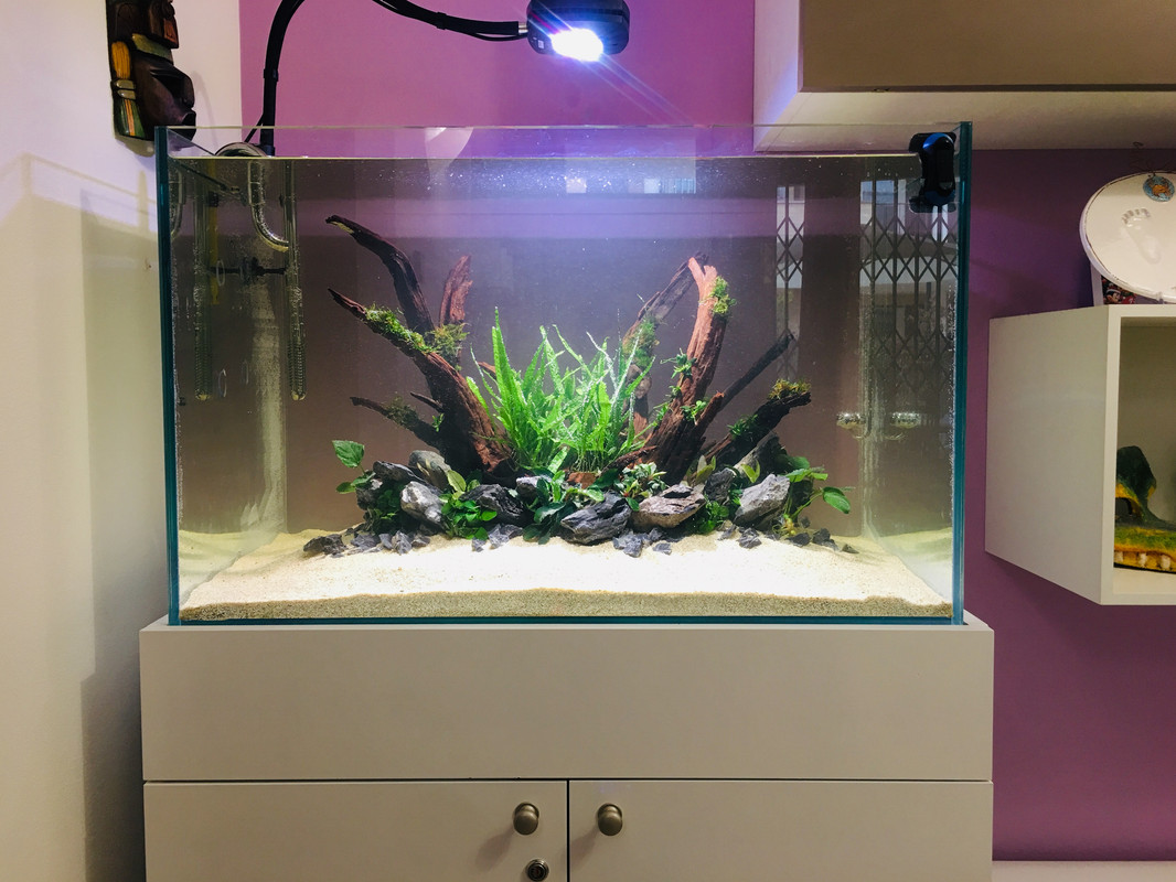 28B3708A-AA1B-4BB5-93F2-E30E0EC27A65