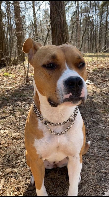 99D79EE4-D2F2-4ACC-98C7-96D9BD55A60D