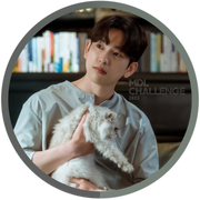 PYJ Devy&#039;s Gray