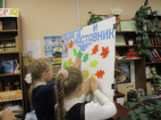 IMG-7347