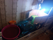 IMG_20250921_213553_099