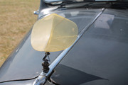 IMG-3889.jpg