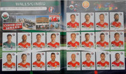 Album-UEFA-euro-2016-Panini-27