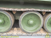 IMG-6332