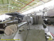 DSCN6546