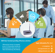 fixed cellular terminal feature