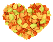 TADD_elements_Shimmer_Fall_95