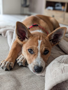 PXL-20250907-014630667-PORTRAIT