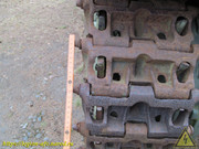 IMG-2596