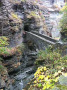 IMG-1973