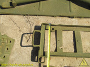 IMG-9555