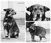 1.jpg&key=d869dbff66907ca0caf098ecaf95d9