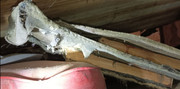 NICHE-FIXEES-SUR-PANNEAUX.jpg
