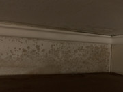 8A0F436E-335C-4481-9567-0504048D212A