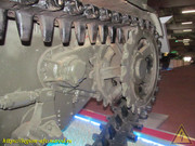 IMG-7329