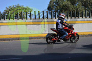 DSC-0691-(3)