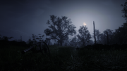Screenshot-194