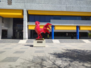 IMG-20260320-104707932-HDR