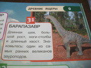 https://i.postimg.cc/sGdJtz3j/100-8066.jpg
