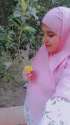 Loly