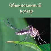 https://i.postimg.cc/sGhv2ZcY/002.png