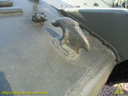 IMG-3562