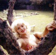 jayne-mansfield-e97