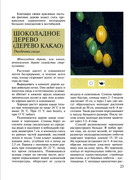 Plodovy-sad-v-komnate-2002-24