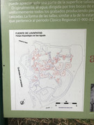 IMG-8347