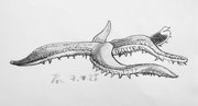 07-toile-de-mer.png