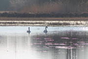 IMG-3621.jpg