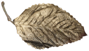 Bronze-Christmas-Elements-79