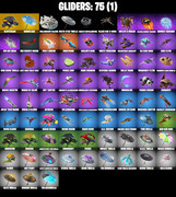 gliders-comp