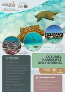 Ofertas Excursiones en la Riviera Maya - Exotik Mayan Tours - Foro Guías y Excursiones
