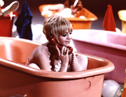 goldiehawn-mb93