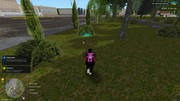 IMG-6406