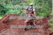 IMG-6448