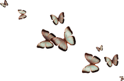 TADD_elements_Shimmer_Fall_32