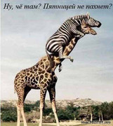 60782d3e8f4ff311946801fa88e6840bd94dd213