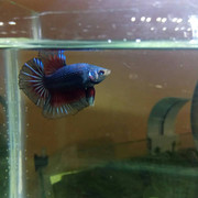 IMG_20190710_220340_443