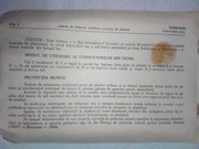 IMG-20220519-181925