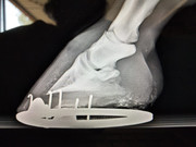 90bf22ee-5a94-45fe-bf74-5ba858888ed7