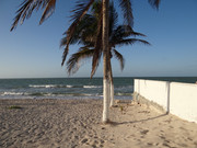 Un-d-a-en-la-playa-en-la-tarde-8