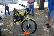 IMG-6733