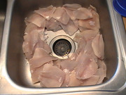 [Image: PIC-0148-2.jpg]