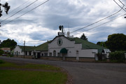 DSC-0010