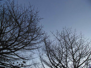 65.10.welcoming winter X